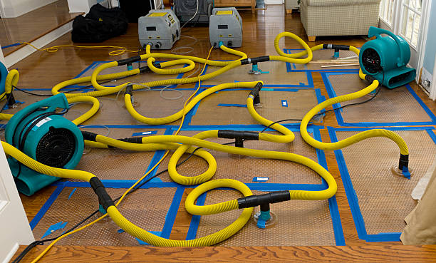 Professional Crawl Space Water Removal technician working in Camden, AL